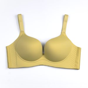 Wireless Push-Up Bra